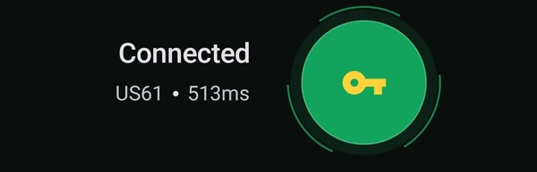 3단계: 연결 버튼이 있는 Wahoo VPN 연결 화면