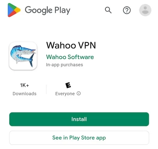 步骤 1：Google Play 中的 Wahoo VPN 应用页面