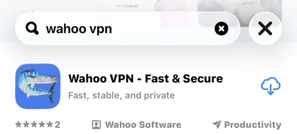 步骤 1：App Store 中的 Wahoo VPN 应用页面
